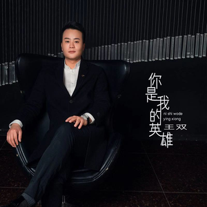 你是我的英雄