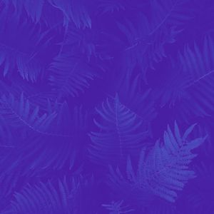 柔和的工作时刻