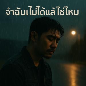 จำฉันไม่ได้แล้วใช่ไหม (Ai)