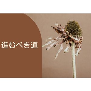進むべき道