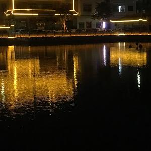 最好安排（弹唱）