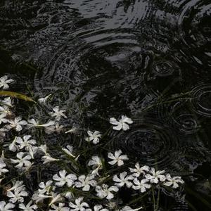 下雨天 南拳妈妈