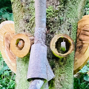 in a dream (feat. GotitA) [2025 Remaster]