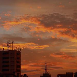 星星还是那么亮(翻自爱如潮水)（翻自 王逸辰）