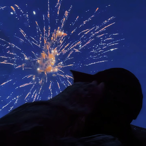 再见，灿烂的忧伤