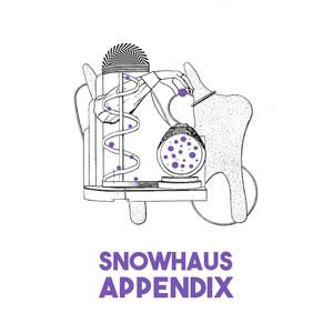 Appendix