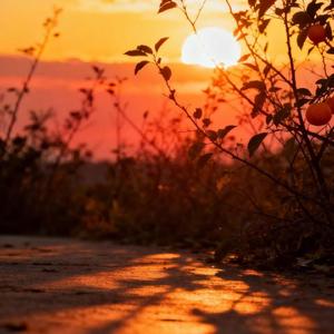 那天的雨我陪你一起听（钢琴曲）