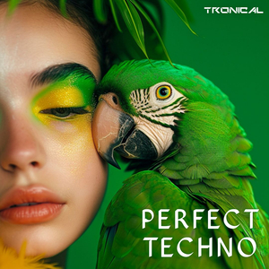 Perfect Techno