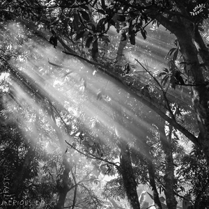 Reflections On The Waterfront