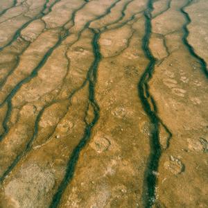 Safe Place (feat. Lilia)