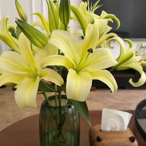 为你我受冷风吹