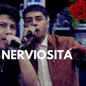 Nerviosita