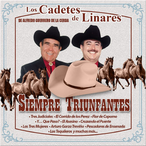 Traiciones Politicas