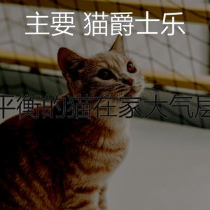 精彩小猫环境