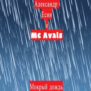 Мокрый дождь