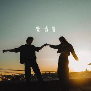 爱情鸟(抖音热播版)