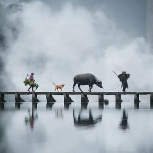 生活倒影