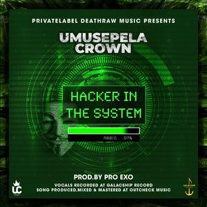 Hacker In The System