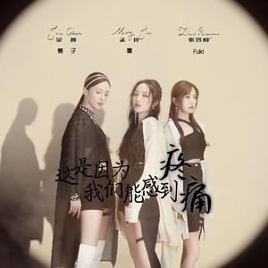 这是因为我们能感到疼痛（翻自 张含韵 金晨 孟佳）