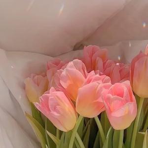 花一开就相爱吧