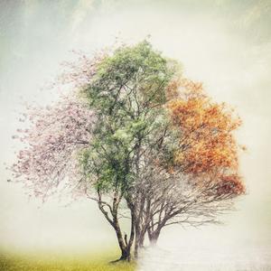 出せなかった手紙 - Letters Never Sent