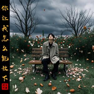 你让我怎么能放下