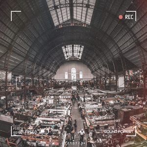 魚市場 (feat. ALL BGM CHANNEL)