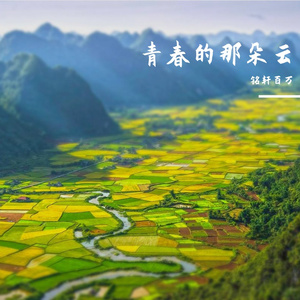 操场边的树听见了