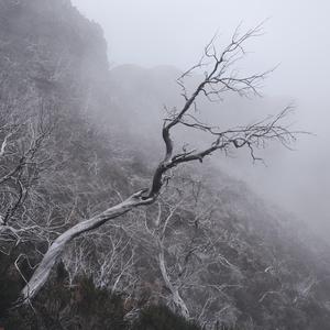 The Roots of: Headless Gods