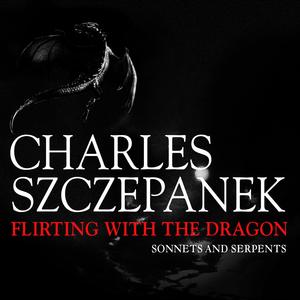 Sonata in B-Flat Minor: Allegro