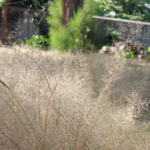 ใจฉันต่างหากที่เปลี่ยนไป