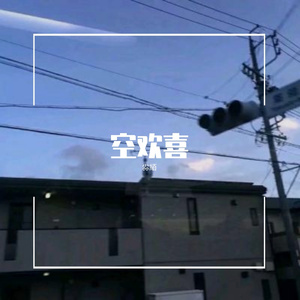 空欢喜（翻自 王靖雯不胖）