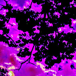 孵卵の刻 (Improvisation)