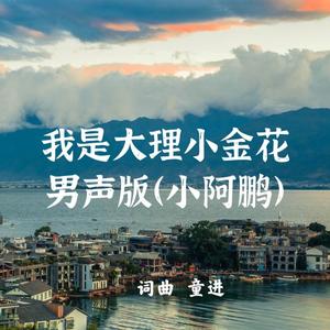 我是大理小金花(童声独唱男声版“小阿鹏”)