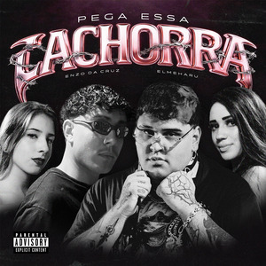 Pega Essa Cachorra