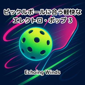 ピックルボール・リフレクトゾーン