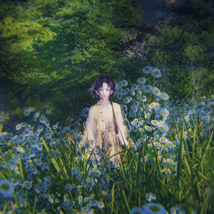 别赋——记白云轩