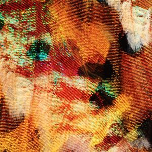 花花公子（PlayboiCarti type beat)