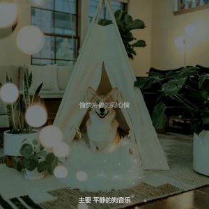 温和睡狗梦想