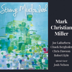 Strange Meadowlark/Skylark (feat. Josh Nelson)