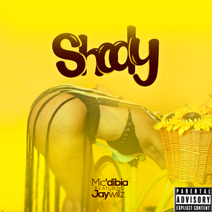 Shody