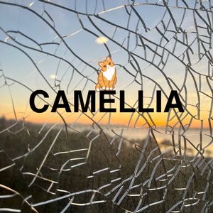 CAMELLIA