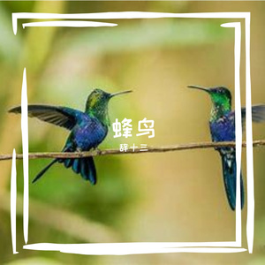 蜂鸟
