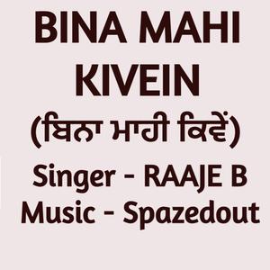 Bina Mahi Kivein (feat. Spazedout)