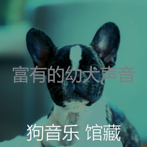 抚慰的训练你的狗回忆