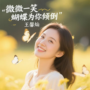 微微一笑（蝴蝶为你倾倒）