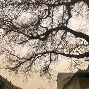 慢慢变好是给自己最好的礼物