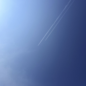 《Softly Heal the Soul》