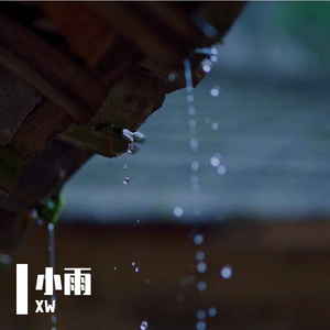 小雨3———— 写给你，我的远方