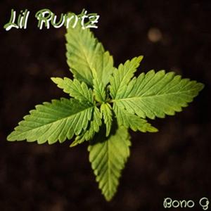 Lil Runtz